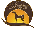 Arabian Ranch