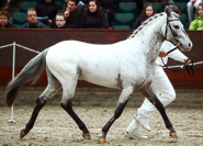 Pardoes van Sundance